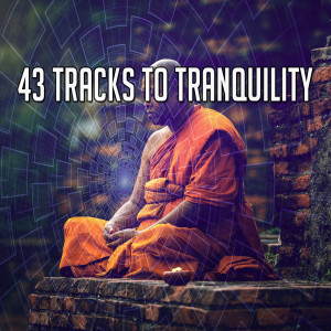 收聽Zen Music Garden的Meditation Marathon歌詞歌曲