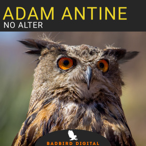 Listen to No Alter song with lyrics from Adamantine