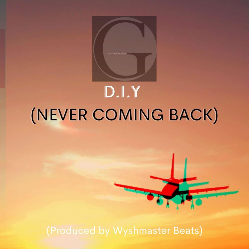 D.I.Y(Never Coming Back)