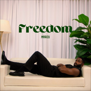 ดาวน์โหลดและฟังเพลง Freedom พร้อมเนื้อเพลงจาก Marizu