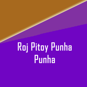 Album Roj Pitoy Punha Punha from PARESH PAWAR
