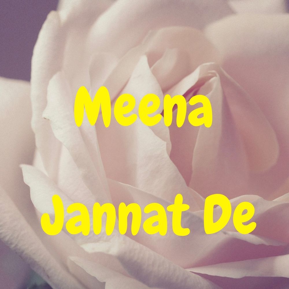 Meena Jannat De