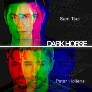收聽Peter Hollens的Dark Horse歌詞歌曲