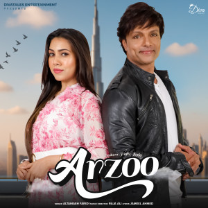 收聽Altamash Faridi的Arzoo歌詞歌曲