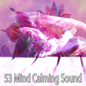 ดาวน์โหลดและฟังเพลง Rapid Sleeping พร้อมเนื้อเพลงจาก Nature Sound Series