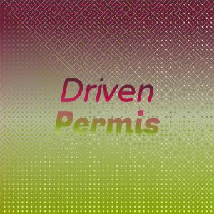 Various Artists的專輯Driven Permis