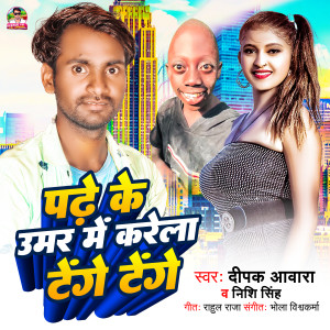Deepak Aawara的專輯Pade Ke Umar Me Karela Tenge Tenge