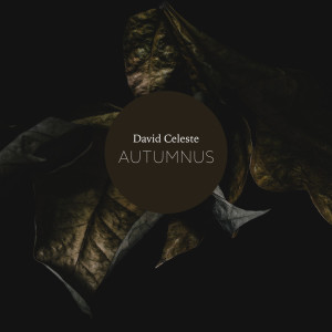 Listen to Tidal Motion song with lyrics from David Celeste