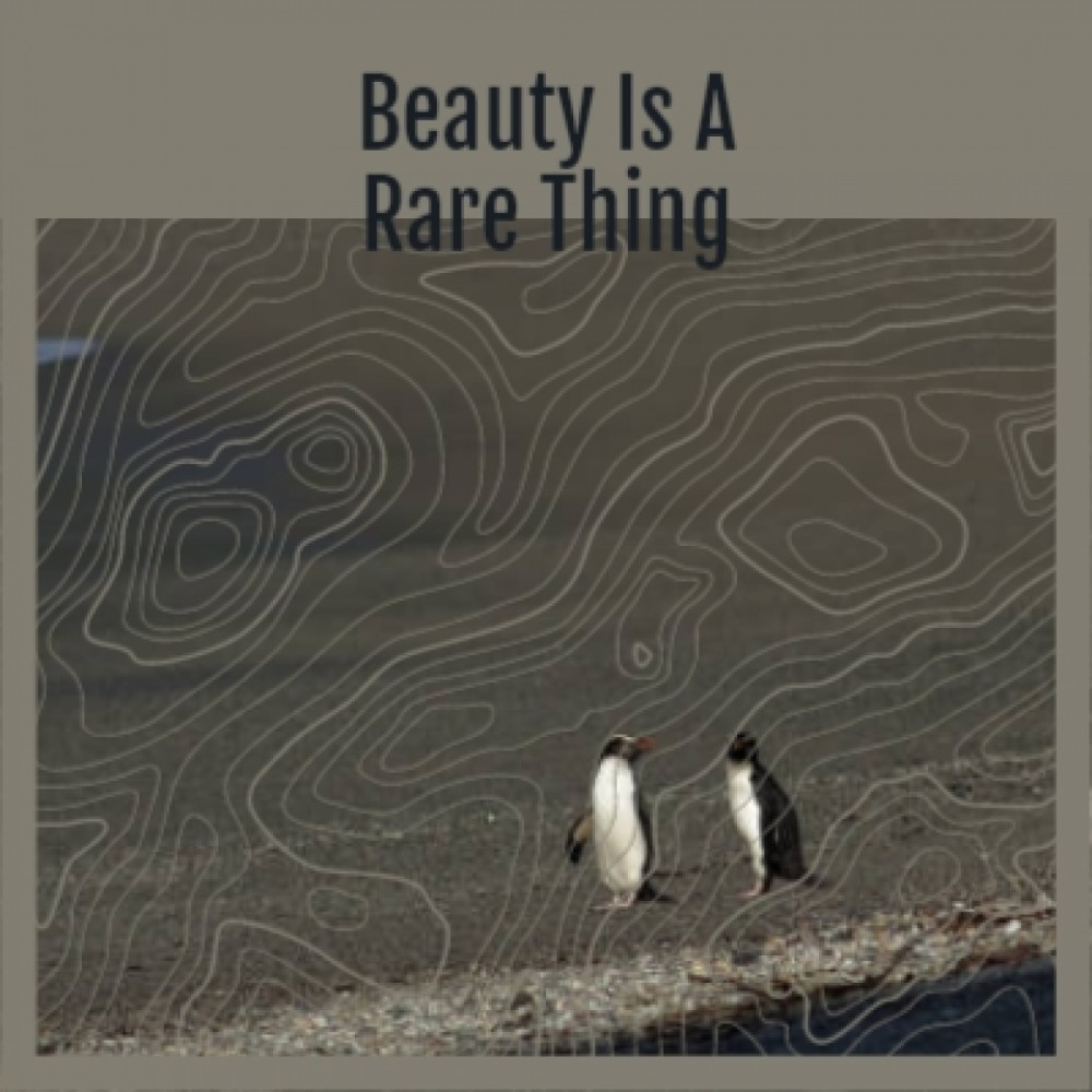 All the Things You Are