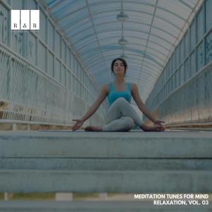 Dengarkan Enticing Immune System 49.00 Hz lagu dari Ahimsa Souls dengan lirik