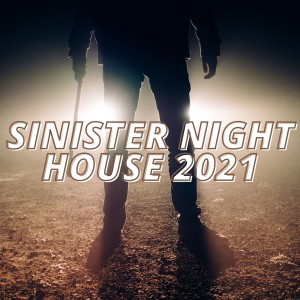 Dengarkan lagu The Countess (Royal Castle Mix) nyanyian Sam Severs dengan lirik