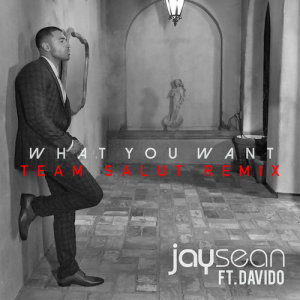 收聽Jay Sean的What You Want (Team Salut Remix)歌詞歌曲