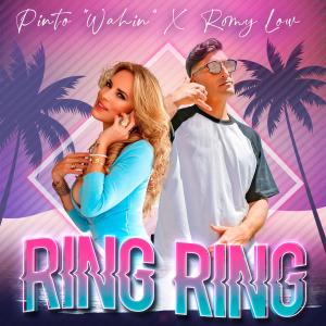 Pinto "Wahin"的專輯RING RING