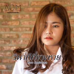 Listen to วินาทีที่จางหาย song with lyrics from Aom Supitchaya