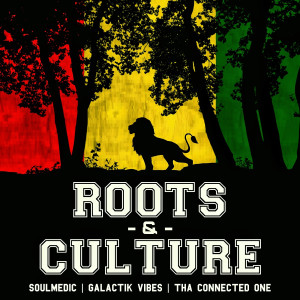 Album Roots and Culture (Explicit) from Soulmedic