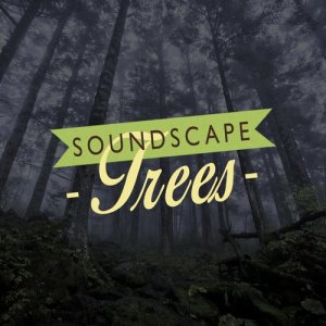 ดาวน์โหลดและฟังเพลง Calm Coppice พร้อมเนื้อเพลงจาก Outside Broadcast Recordings