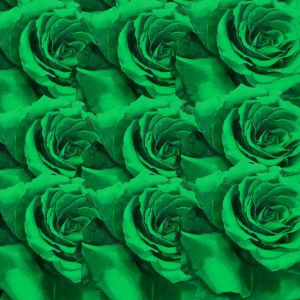 Album GREEN ROSES FREESTYLE from Samson