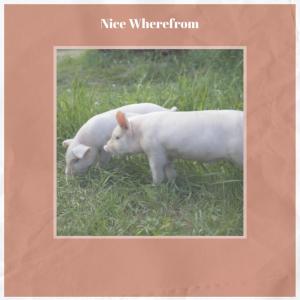 Album Nice Wherefrom oleh Various