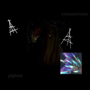 ดาวน์โหลดและฟังเพลง A Thousand Knives (Explicit) พร้อมเนื้อเพลงจาก Pigeons