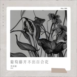 Album 葡萄藤开不出百合花 from 作诗者