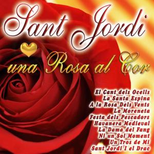 ดาวน์โหลดและฟังเพลง Havanera Medieval พร้อมเนื้อเพลงจาก Josep Andujar