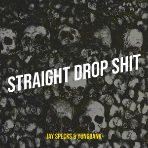 Album Straight Drop Shit (Explicit) from Jay Specks