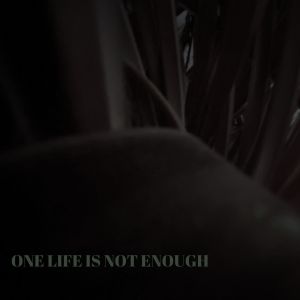 Album One life is not enough from Lars Övrenius