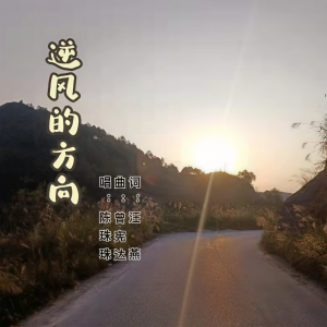 Album 逆风的方向 from 陈珠珠
