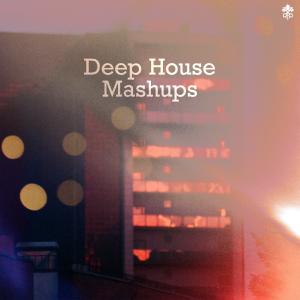 Album Deep House Mashups from Various