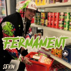 Sevin的專輯Fermament