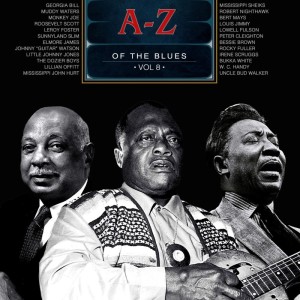Listen to She's Gone song with lyrics from The Dozier Boys