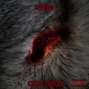 Album Cicatrice from 