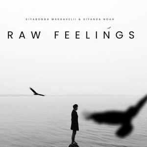 Album Raw Feelings from 