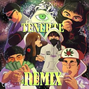 收聽Angel Trapsur的Tenerte Rmx (feat. Drykeliam) (Curly King, B1G Demon & Jvmexxx Remix|Explicit)歌詞歌曲
