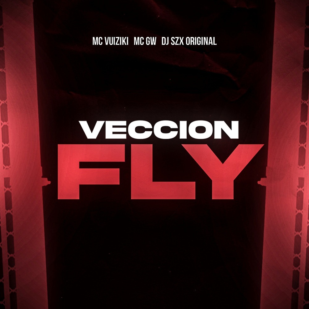 VECCION FLY (Explicit)