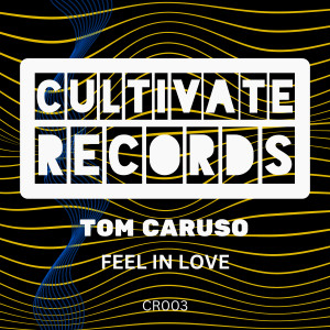 Tom Caruso的專輯Feel In Love