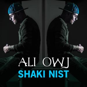 Listen to Pelastiki(feat. T-Dey) song with lyrics from Ali Owj