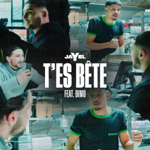 Listen to T'es bête song with lyrics from Jayel