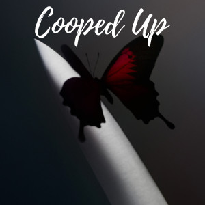 Listen to Cooped Up song with lyrics from Jordan Duran