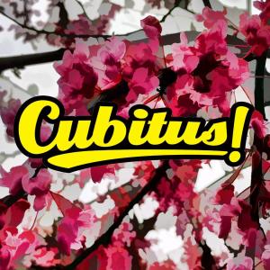 Listen to Hey Kamu song with lyrics from Cubitus