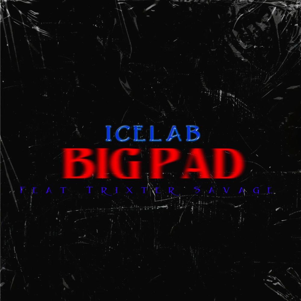 Big Pad (feat. Trixta Savage) (Explicit)
