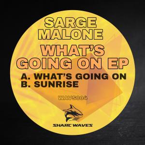 Sarge Malone的專輯What's going on
