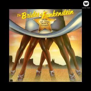 ดาวน์โหลดและฟังเพลง Party up in Here พร้อมเนื้อเพลงจาก The Brides Of Funkenstein