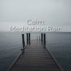 ดาวน์โหลดและฟังเพลง Spa Therapy Ambience พร้อมเนื้อเพลงจาก Relaxing Rain Sounds