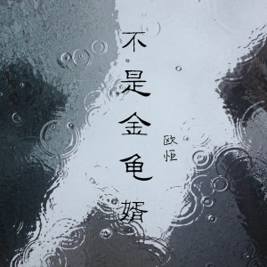收听歐恆的不是金龟婿歌词歌曲