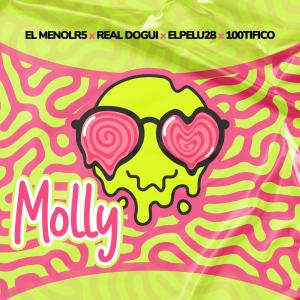 ดาวน์โหลดและฟังเพลง Molly (feat. Real Dogui RD, Elpelu28 & El menolR5|Explicit) พร้อมเนื้อเพลงจาก 100tifico