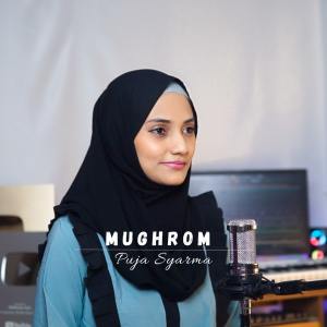 ดาวน์โหลดและฟังเพลง MUGHROM พร้อมเนื้อเพลงจาก Puja Syarma