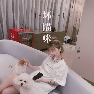 Listen to 坏猫咪 (伴奏) song with lyrics from 橙子涵