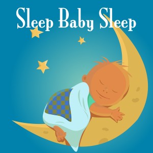 The Infant Music Ensemble的專輯Sleep Baby Sleep
