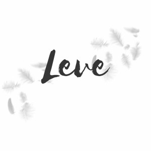 FLiP的專輯Leve (Explicit)